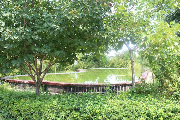 太原雄杰企业咨询服务有限公司机械厂区环境优美